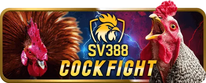 Hỗ trợ khách hàng r88bet